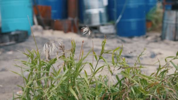 Beaucoup de barils d'essence et d'huile moteur sur le territoire de l'usine — Video