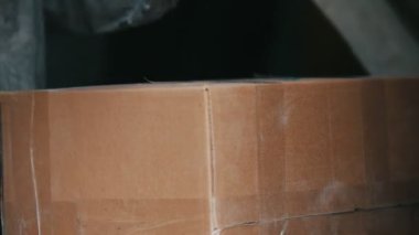 Endüstriyel bir depoda ambarı işçilerin yukarı ambalaj kutusu