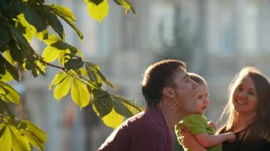 Mutlu aile yaz akşam, parkta ağır çekim