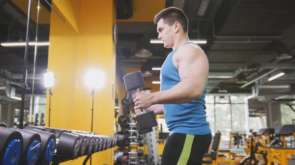 Halter salonunda - kaslı sporcu eğitim pazı dumbbells ile için gerçekleştirir