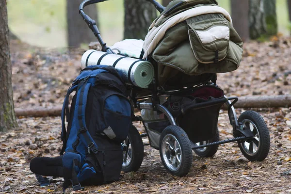 Wózek i camping plecak w lesie jesienią — Zdjęcie stockowe