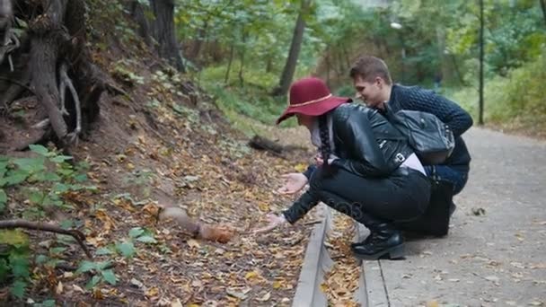 Jeune homme et femme nourrissant écureuil dans le parc de la main — Video