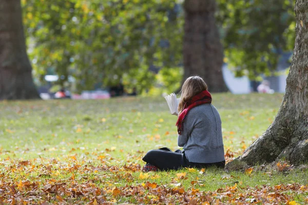 Ein Mädchen liest das Buch im Herbstpark - Rückansicht — Stockfoto