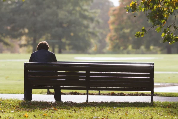 Одинокий человек в осеннем парке на скамейке - вид сзади — стоковое фото