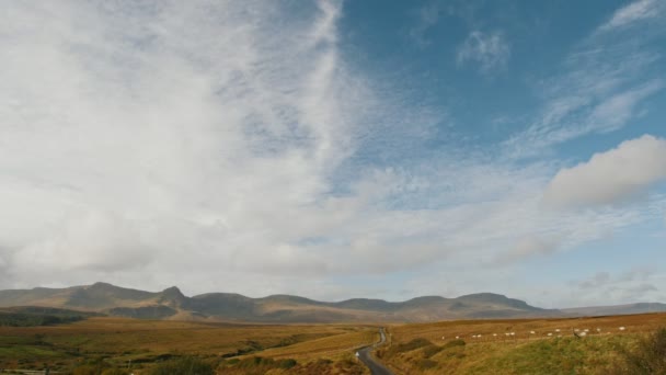 Schottland Hochland Landschaft - Schafgruppe in den Bergen - uk — Stockvideo