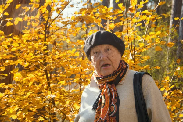 Vieja enojada siente la indignación en el parque de otoño — Foto de Stock