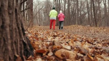 İki yaşlı kadın sonbahar park var - Kuzey yürüyüşü - dikiz eğitim
