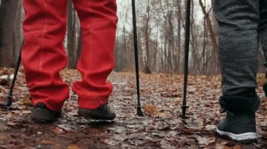 Nordik yürüyüş sonbahar Park'ta - kadınlar var açık eğitim