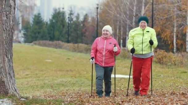 Dos ancianas en el parque de otoño tienen un entrenamiento moderno y saludable: caminar nórdico — Vídeos de Stock