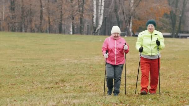 Two elderly woman in autumn park have nordic walking among autumn cold park — Stock Video