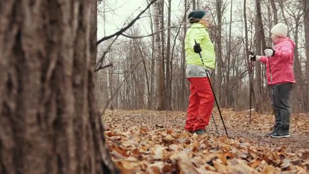 Dva starší žena v podzimním parku mají výcvik - nordic walking — Stock video