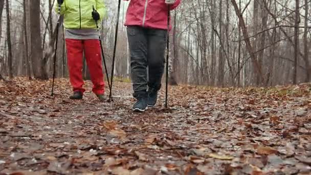 Nordic caminar en el parque de otoño - dos señoras mayores tienen entrenamiento al aire libre — Vídeo de stock