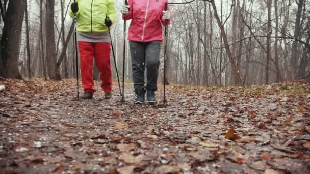 Медленный взгляд на нордическую ходьбу для пожилых женщин на открытом воздухе - две пожилые дамы имеют подготовку на открытом воздухе — стоковое видео