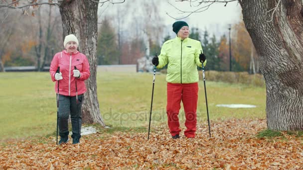 Mujer mayor en el parque de otoño haciendo calentamiento antes de caminar nórdico — Vídeos de Stock