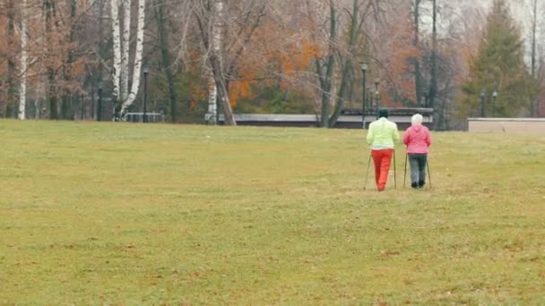 Две пожилые женщины в осеннем парке имеют нордическую ходьбу среди осеннего холодного парка — стоковое видео