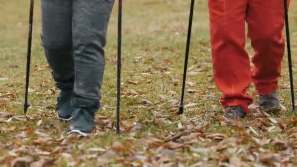 Caminhada nórdica no parque de outono - duas senhoras idosas seniores têm treinamento ao ar livre - pernas de perto — Vídeo de Stock