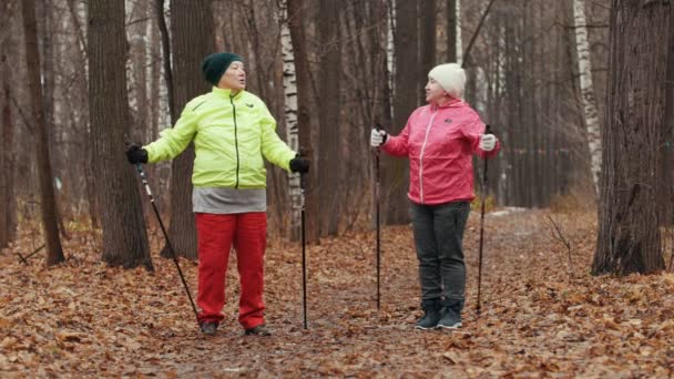 Ηλικιωμένη γυναίκα σε φθινόπωρο πάρκο κάνει ζεστή πριν από το Σκανδιναβικό περπάτημα ανάμεσα σε κίτρινα φύλλα — Αρχείο Βίντεο