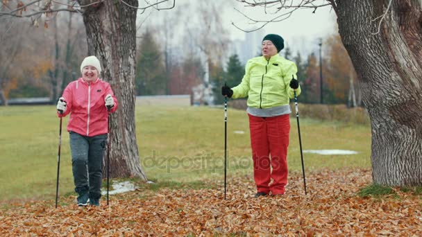 Duas mulheres idosas felizes no parque de outono fazendo aquecimento antes de exercícios - caminhada nórdica — Vídeo de Stock