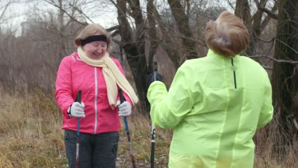 Две пожилые бабушки делают упражнения для шеи на открытом воздухе — стоковое видео