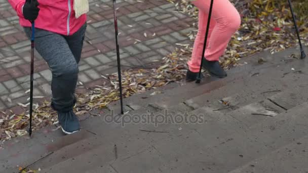Las mujeres mayores haciendo Nordic caminar en otoño Parque al aire libre — Vídeos de Stock
