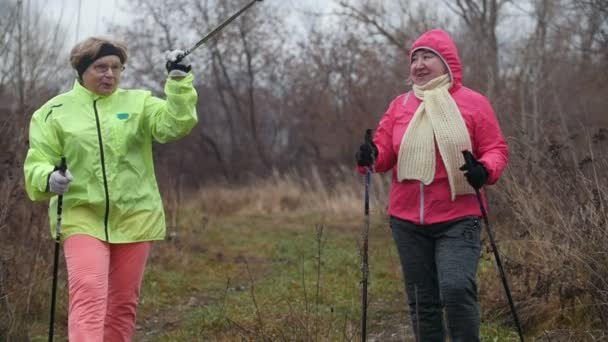 Två äldre kvinna i höst park har modern hälsosam träning - stavgång, slow motion — Stockvideo