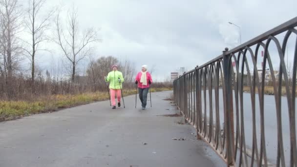 Nordic walking - sport őszi parkban idős nő - modern egészséges képzés — Stock videók