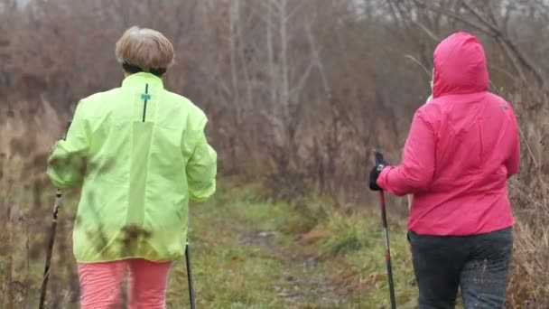 Nordic walking - sport for elderly woman in autumn park - modern healthy training, rear view — Stock Video