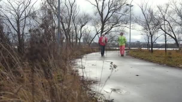 Sport for elderly women in autumn park - modern healthy training, nordic walking — Stock Video