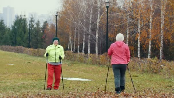 Дві літні жінки в осінньому парку мають скандинавську прогулянку серед осіннього холодного парку — стокове відео