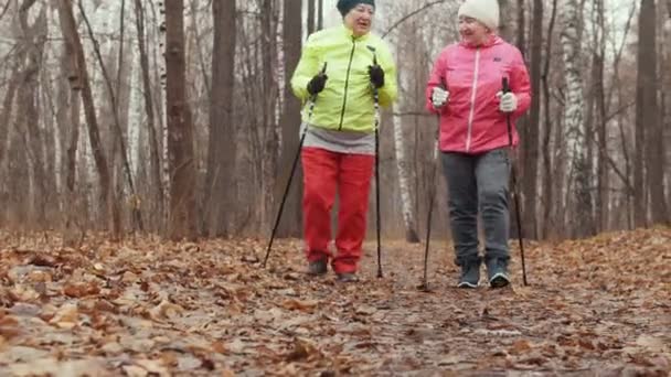 Nordic Walking für ältere Frauen im Freien - zwei Seniorinnen trainieren im Freien — Stockvideo