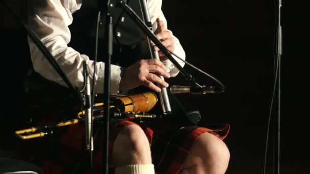 Бородатий чоловік грає трубу на концерті — стокове відео