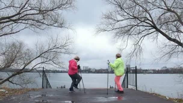 Bejaarde vrouw in herfst park doen warm up voor nordic-walking — Stockvideo