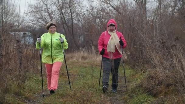Two elderly woman in autumn park have modern healthy training - nordic walking, slow-motion — Stock Video