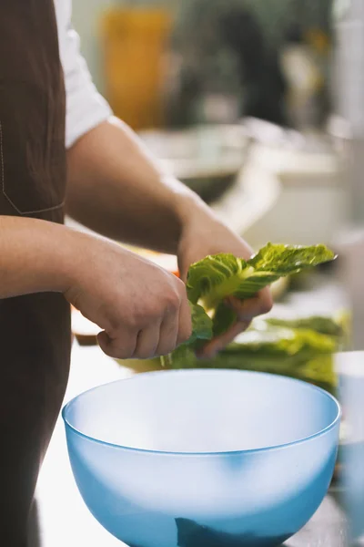 Мужчина-повар рвет листья для салата на коммерческой кухне — стоковое фото