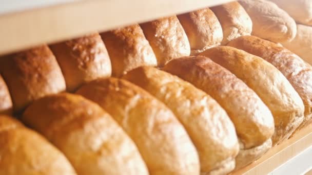 Many loaves of bread on a tray — Stock Video