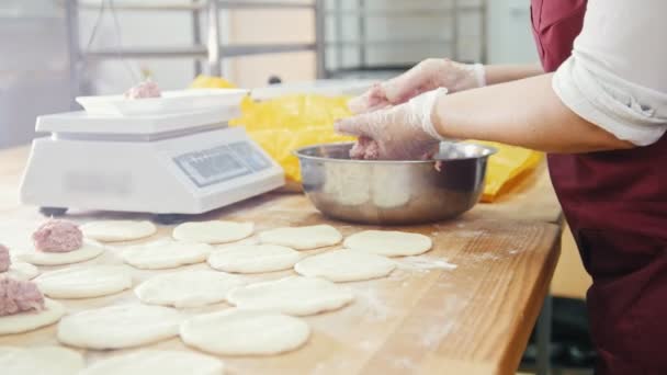 De chef-kok bereidt het vlees vulling voor taarten in de bakkerij — Stockvideo