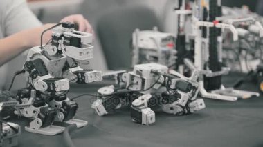 Robot, robot teknolojisi, hayvanlar hareketli robotlar