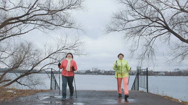 Nordic walking pro starší ženy venkovní - dvě starší dámy mají výcvik venkovní — Stock fotografie