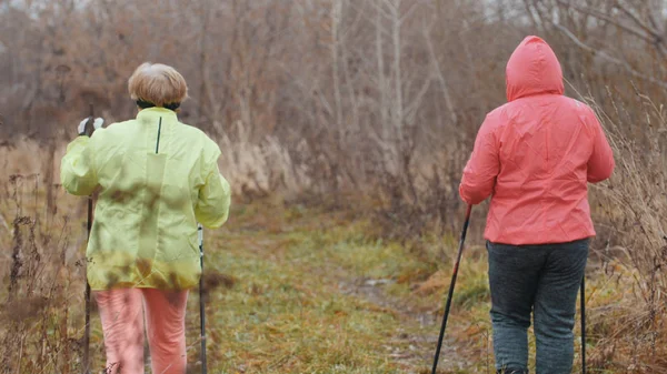 Дві літні жінки в осінньому парку мають сучасну здорову підготовку - скандинавська ходьба - вид ззаду — стокове фото