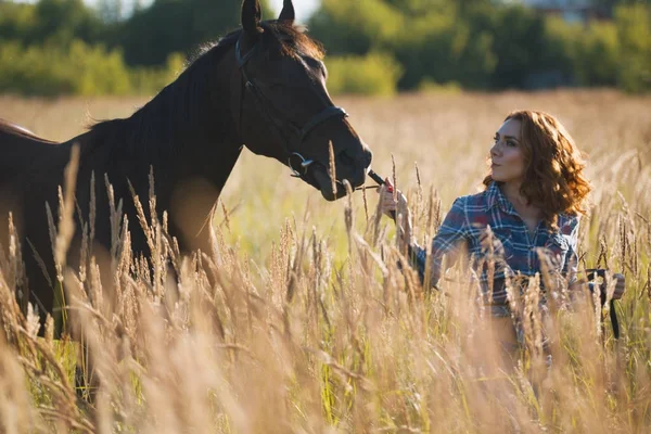 年轻女子和马在草地上在夏天的夜晚 — 图库照片