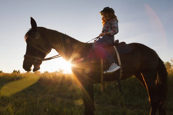 一女子骑着一匹马-日落或日出，水平的牛仔帽的剪影 — 图库照片