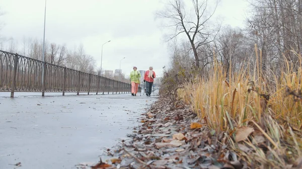 Nyugdíjasok két nő van outdoor tréning - nordic walking im a park — Stock Fotó