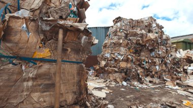 Karton sanayi düzenli depolama, ekoloji kavramı, geri dönüşüm