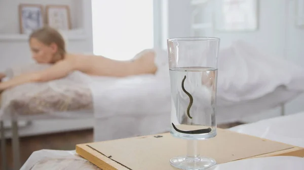 Sülükler sarışın kız - hirudotherapy arka planı ile banka