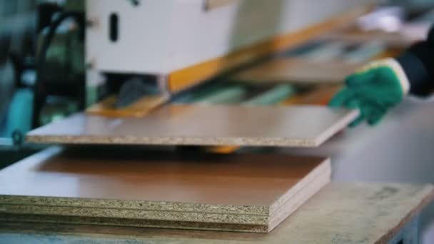 Preparação de peças de mobiliário de madeira na fábrica — Vídeo de Stock