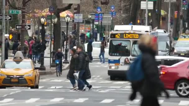 New York, Usa - December 2017: medborgare, turister och gatan biltrafiken i Manhattan - 5th avenue nära Central park vid jul — Stockvideo