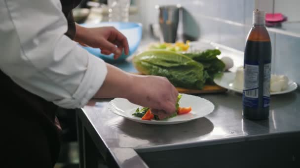 Αρσενικό σεφ προετοιμασία σαλάτα σε εμπορική κουζίνα — Αρχείο Βίντεο