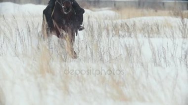 Ata binme, yavaş hareket kış alanlardaki binici
