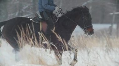 Atlı spor - kırmızı atlı dörtnala karlı alanda binici