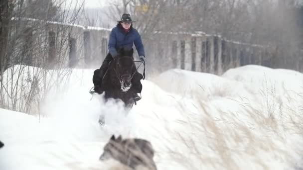 Deportes ecuestres - mujer jinete a caballo rápido galopando en el campo cubierto de nieve — Vídeo de stock